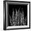 Xray Tree Fren-Albert Koetsier-Framed Art Print