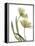 Xray Tulip I-Judy Stalus-Framed Premier Image Canvas