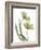 Xray Tulip I-Judy Stalus-Framed Photographic Print