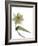 Xray Tulip II-Judy Stalus-Framed Photographic Print