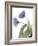 Xray Tulip III-Judy Stalus-Framed Photographic Print