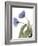 Xray Tulip III-Judy Stalus-Framed Photographic Print