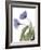 Xray Tulip III-Judy Stalus-Framed Photographic Print