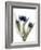 Xray Tulip IX-Judy Stalus-Framed Photographic Print