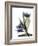 Xray Tulip VI-Judy Stalus-Framed Photographic Print