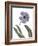 Xray Tulip X-Judy Stalus-Framed Photographic Print