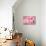 Xtravaganza - Flamingo III-Philippe HUGONNARD-Art Print displayed on a wall