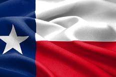 Texas Flag-Xtremer-Mounted Art Print