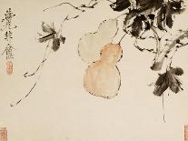 Chrysanthemums, A Leaf from an Album of Various Subjects-Xu Gu-Framed Giclee Print