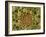 Xylem And Phloem Plant Tissue, SEM-Steve Gschmeissner-Framed Photographic Print