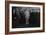 Y.B. Yeats with His Literary Circle, Sussex, 1914-English Photographer-Framed Photographic Print