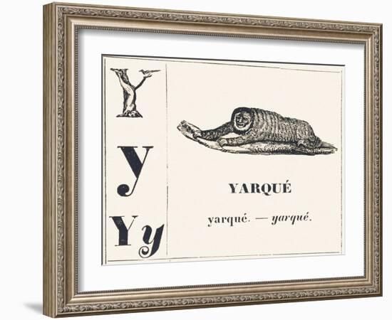 Y for Yarque (Monkey from French Guiana), 1850 (Engraving)-Louis Simon (1810-1870) Lassalle-Framed Giclee Print