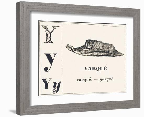 Y for Yarque (Monkey from French Guiana), 1850 (Engraving)-Louis Simon (1810-1870) Lassalle-Framed Giclee Print