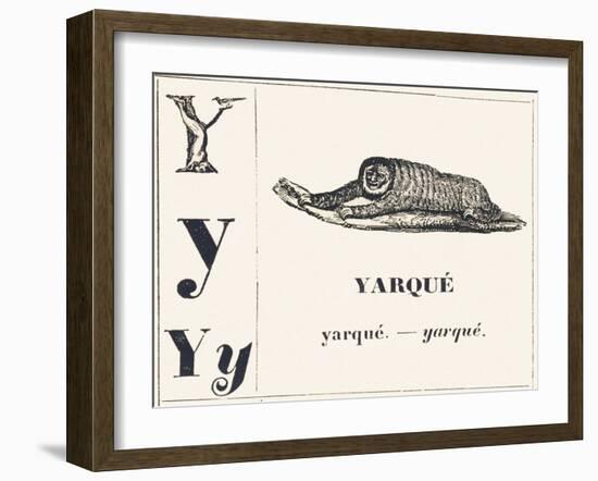 Y for Yarque (Monkey from French Guiana), 1850 (Engraving)-Louis Simon (1810-1870) Lassalle-Framed Giclee Print