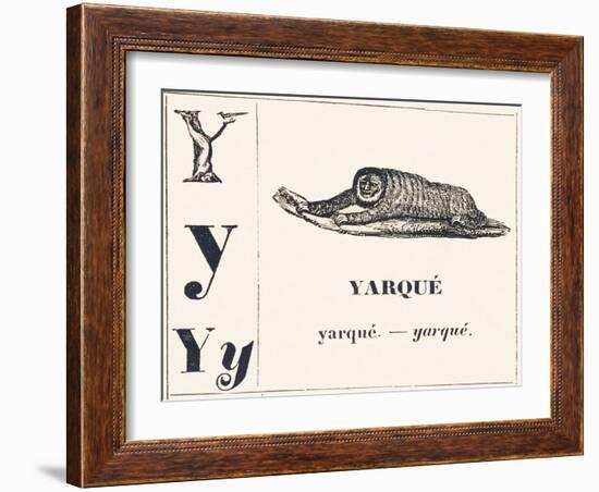 Y for Yarque (Monkey from French Guiana), 1850 (Engraving)-Louis Simon (1810-1870) Lassalle-Framed Giclee Print