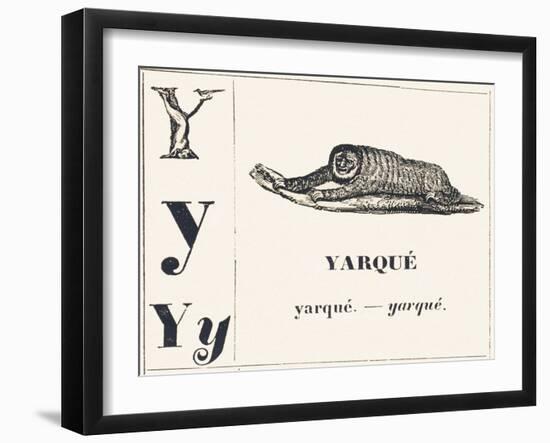 Y for Yarque (Monkey from French Guiana), 1850 (Engraving)-Louis Simon (1810-1870) Lassalle-Framed Giclee Print