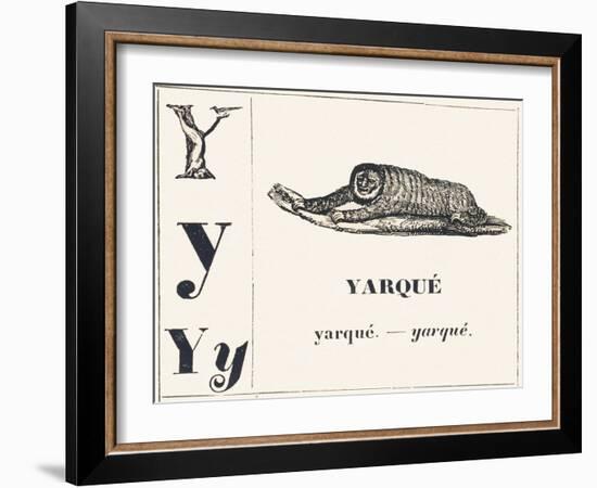 Y for Yarque (Monkey from French Guiana), 1850 (Engraving)-Louis Simon (1810-1870) Lassalle-Framed Giclee Print