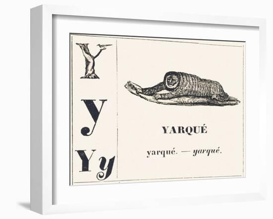 Y for Yarque (Monkey from French Guiana), 1850 (Engraving)-Louis Simon (1810-1870) Lassalle-Framed Giclee Print