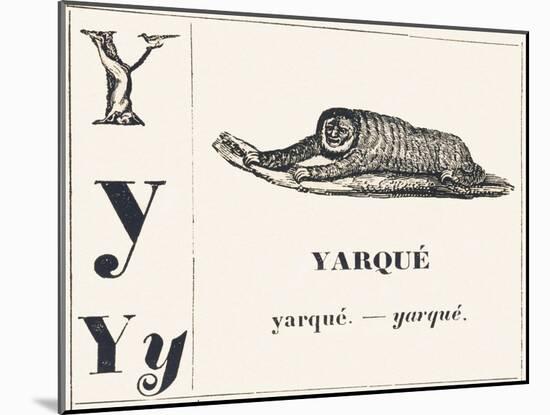 Y for Yarque (Monkey from French Guiana), 1850 (Engraving)-Louis Simon (1810-1870) Lassalle-Mounted Giclee Print