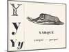 Y for Yarque (Monkey from French Guiana), 1850 (Engraving)-Louis Simon (1810-1870) Lassalle-Mounted Giclee Print