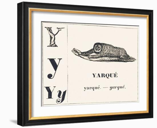 Y for Yarque (Monkey from French Guiana), 1850 (Engraving)-Louis Simon (1810-1870) Lassalle-Framed Giclee Print