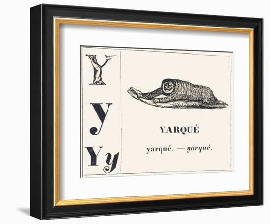 Y for Yarque (Monkey from French Guiana), 1850 (Engraving)-Louis Simon (1810-1870) Lassalle-Framed Giclee Print