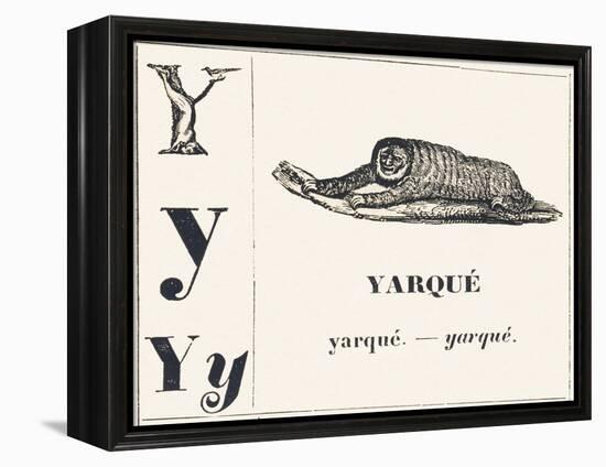 Y for Yarque (Monkey from French Guiana), 1850 (Engraving)-Louis Simon (1810-1870) Lassalle-Framed Premier Image Canvas