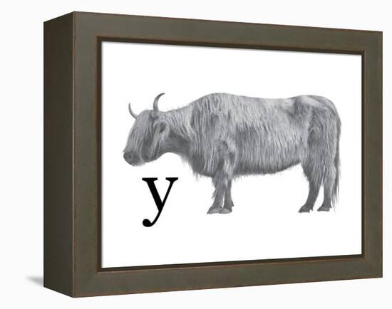 Y is for Yak-Stacy Hsu-Framed Stretched Canvas