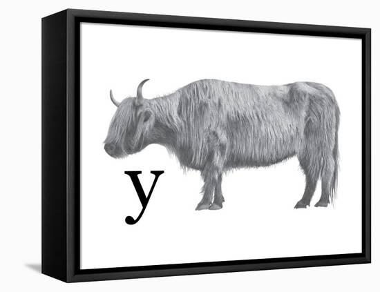 Y is for Yak-Stacy Hsu-Framed Stretched Canvas