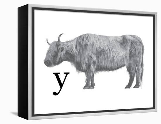 Y is for Yak-Stacy Hsu-Framed Stretched Canvas