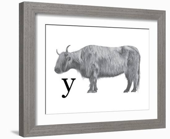 Y is for Yak-Stacy Hsu-Framed Art Print