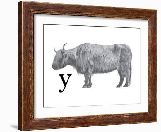 Y is for Yak-Stacy Hsu-Framed Art Print