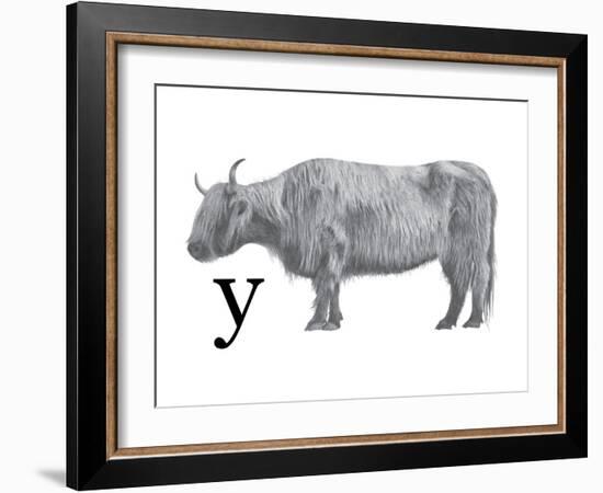 Y is for Yak-Stacy Hsu-Framed Art Print