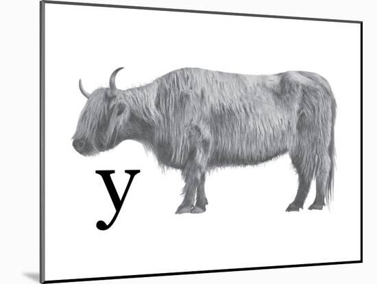 Y is for Yak-Stacy Hsu-Mounted Art Print