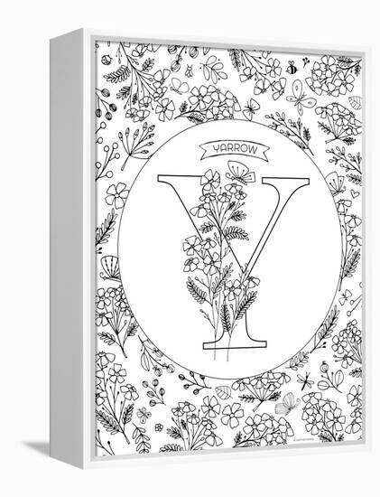 Y is for Yarrow-Heather Rosas-Framed Stretched Canvas