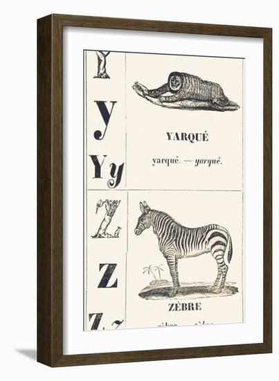 Y Z: Yarque — Zebra, 1850 (Engraving)-Louis Simon (1810-1870) Lassalle-Framed Giclee Print