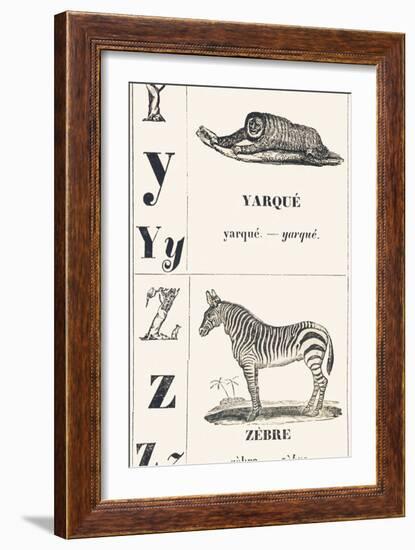 Y Z: Yarque — Zebra, 1850 (Engraving)-Louis Simon (1810-1870) Lassalle-Framed Giclee Print