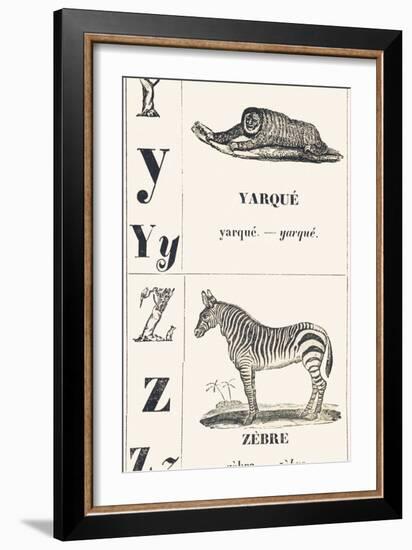 Y Z: Yarque — Zebra, 1850 (Engraving)-Louis Simon (1810-1870) Lassalle-Framed Giclee Print