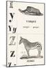 Y Z: Yarque — Zebra, 1850 (Engraving)-Louis Simon (1810-1870) Lassalle-Mounted Giclee Print