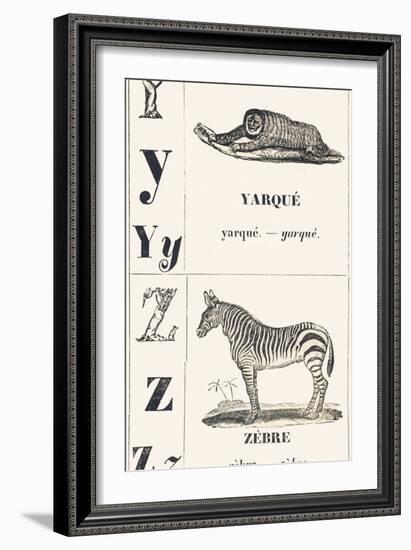 Y Z: Yarque — Zebra, 1850 (Engraving)-Louis Simon (1810-1870) Lassalle-Framed Giclee Print