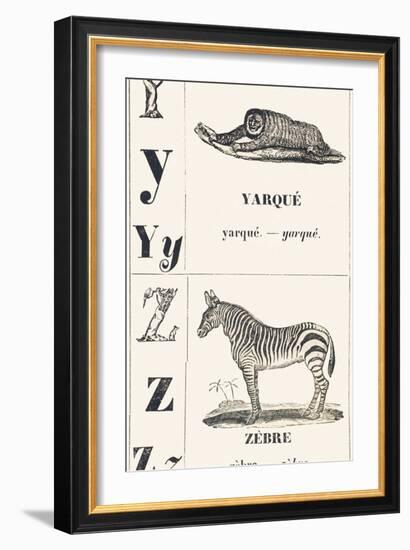 Y Z: Yarque — Zebra, 1850 (Engraving)-Louis Simon (1810-1870) Lassalle-Framed Giclee Print
