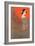 Ya Todo Termino Tango Music Sheet Cover-Leopoldo Metlicovitz-Framed Giclee Print