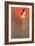 Ya Todo Termino Tango Music Sheet Cover-Leopoldo Metlicovitz-Framed Giclee Print