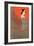 Ya Todo Termino Tango Music Sheet Cover-Leopoldo Metlicovitz-Framed Giclee Print