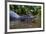 Yacare caiman (Caiman crocodylus yacare), Pantanal, Mato Grosso, Brazil, South America-Sergio Pitamitz-Framed Photographic Print