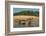 Yacare caiman (Caiman yacare) on river bank, Cuiaba River, Pantanal, Brazil-Jeff Foott-Framed Photographic Print