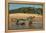 Yacare caiman (Caiman yacare) on river bank, Cuiaba River, Pantanal, Brazil-Jeff Foott-Framed Premier Image Canvas