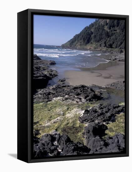 Yachats, Cape Cove, Cape Perpetua Scenic Area, Oregon, USA-Connie Ricca-Framed Premier Image Canvas