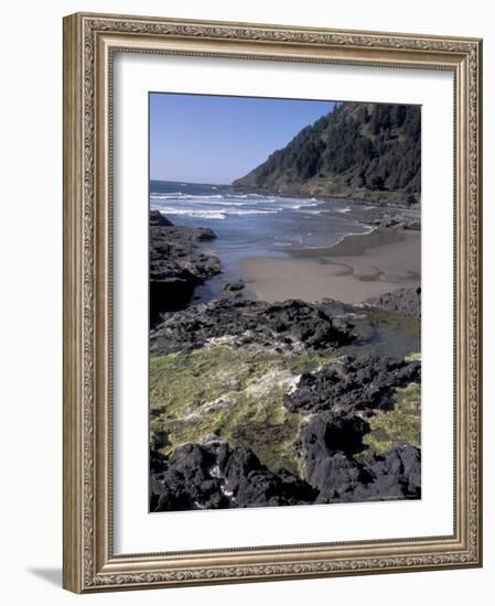 Yachats, Cape Cove, Cape Perpetua Scenic Area, Oregon, USA-Connie Ricca-Framed Photographic Print
