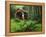 Yachats River Covered Bridge in Siuslaw National Forest, North Fork, Oregon, USA-Steve Terrill-Framed Premier Image Canvas